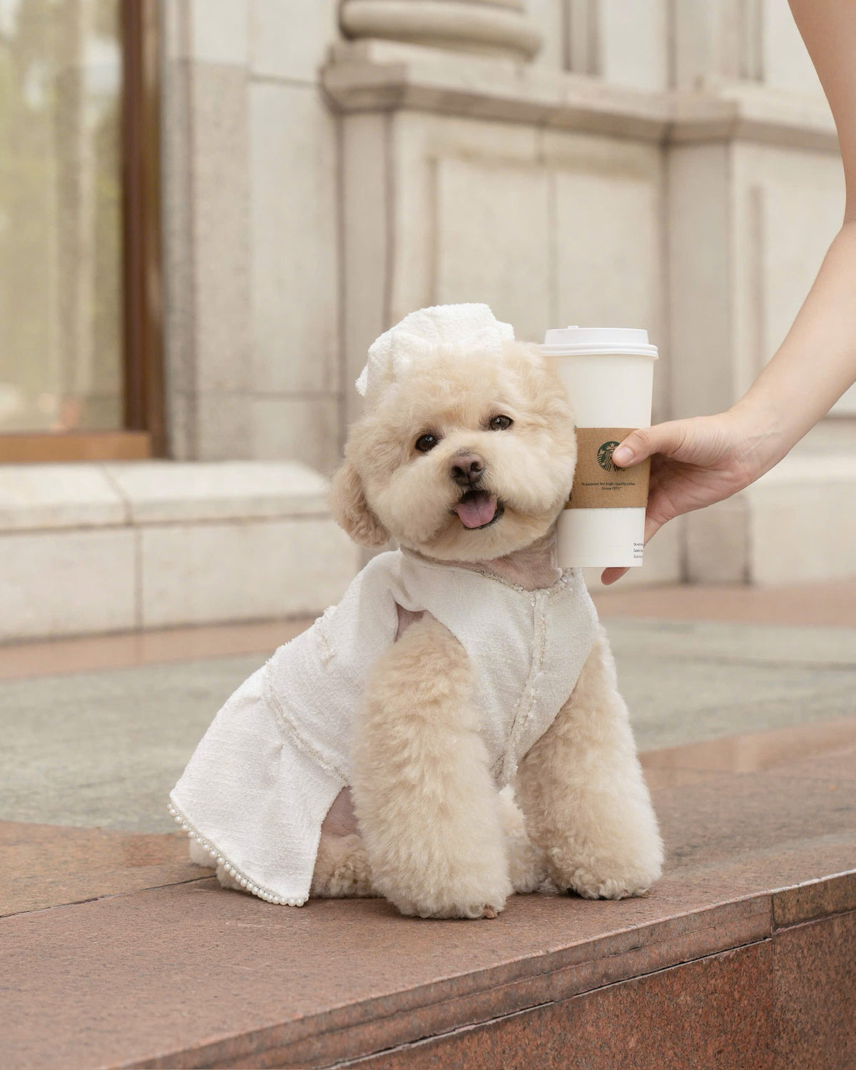 Blanche puppy set (hat)