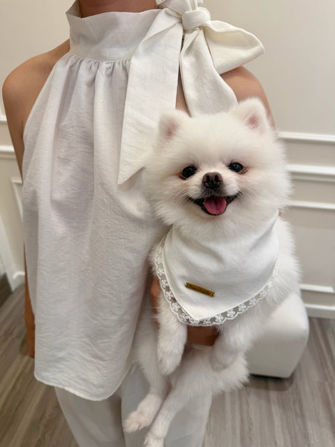 Lumi cape puppy