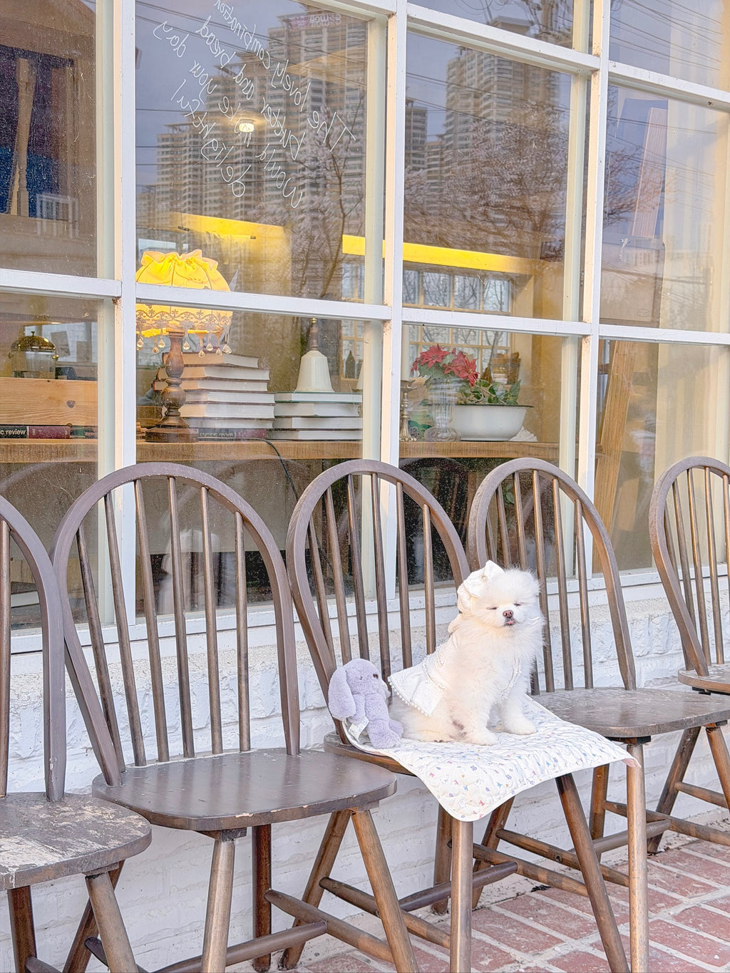 Blanche puppy set (hat)