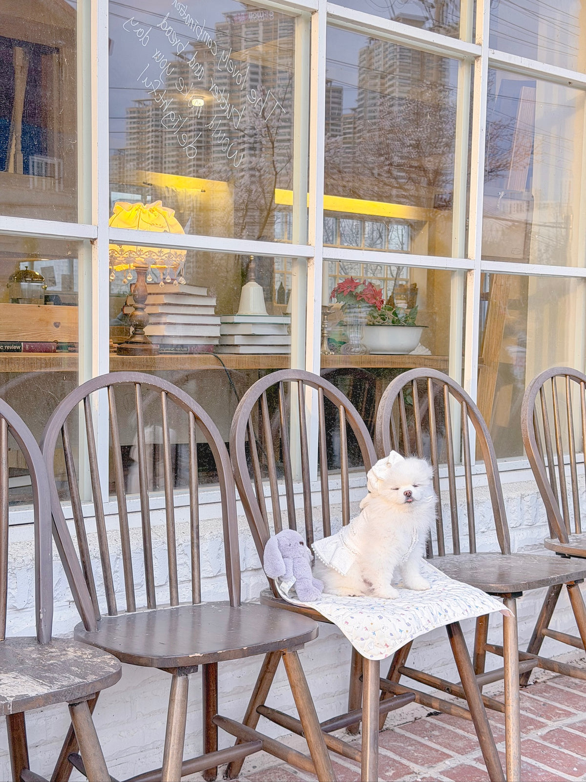 Blanche puppy set (hat)
