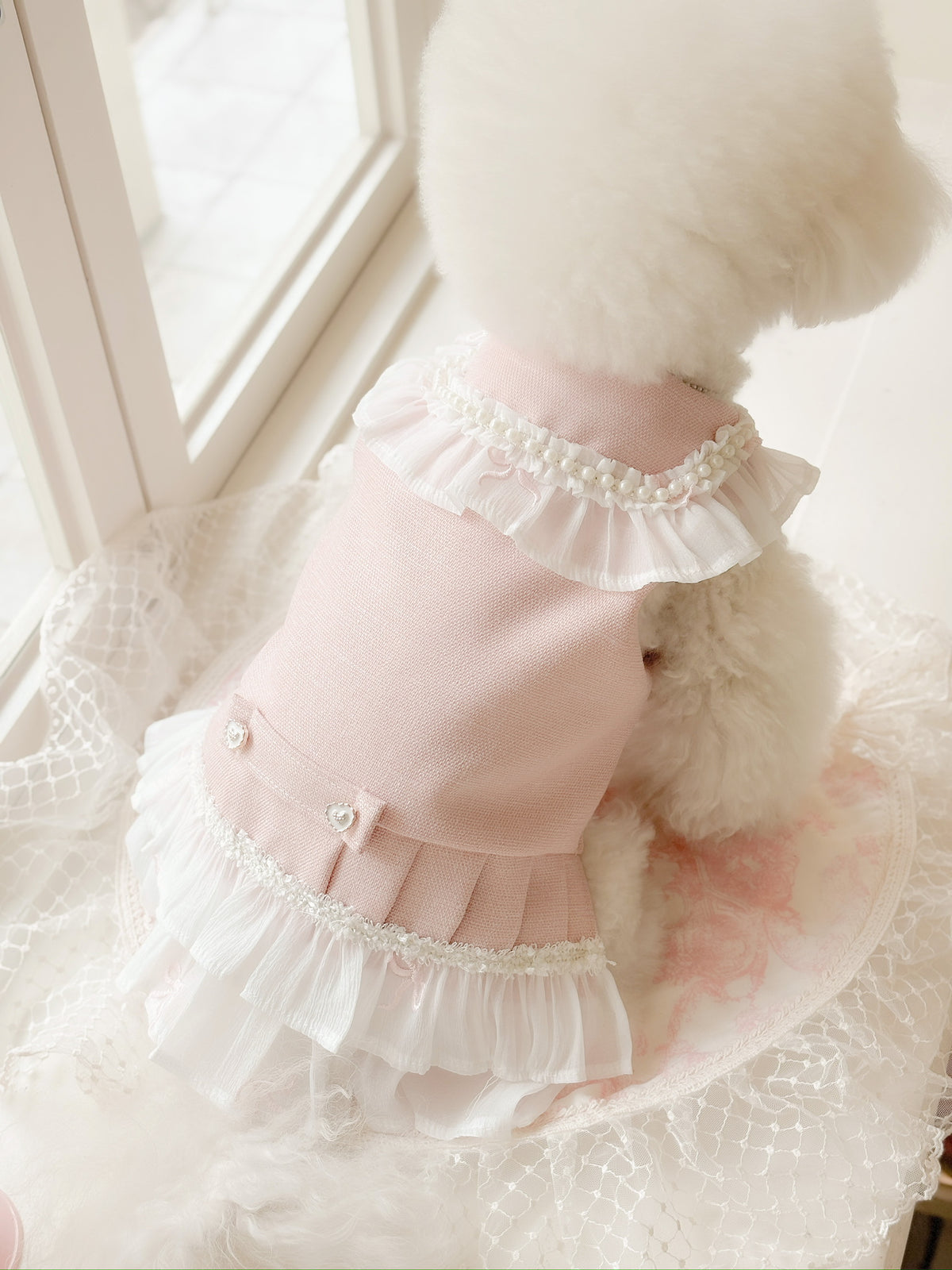Rose puppy set (libbon)
