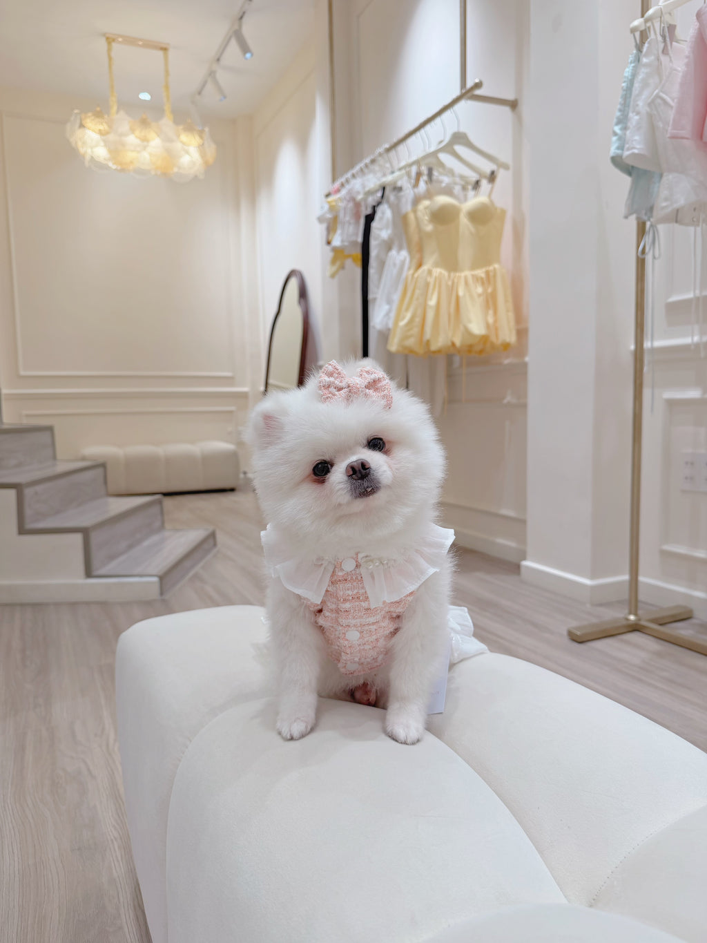Pearl tweed girl puppy set (libbon)