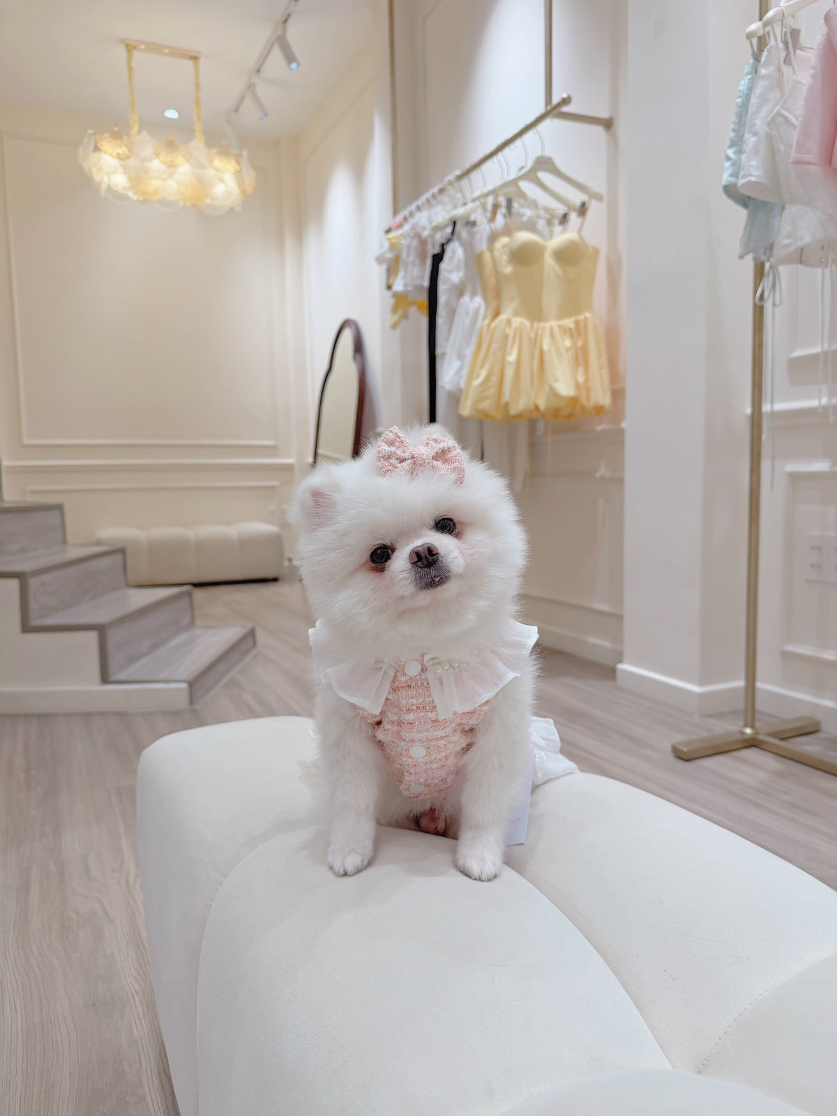 Pearl tweed girl puppy set (libbon)
