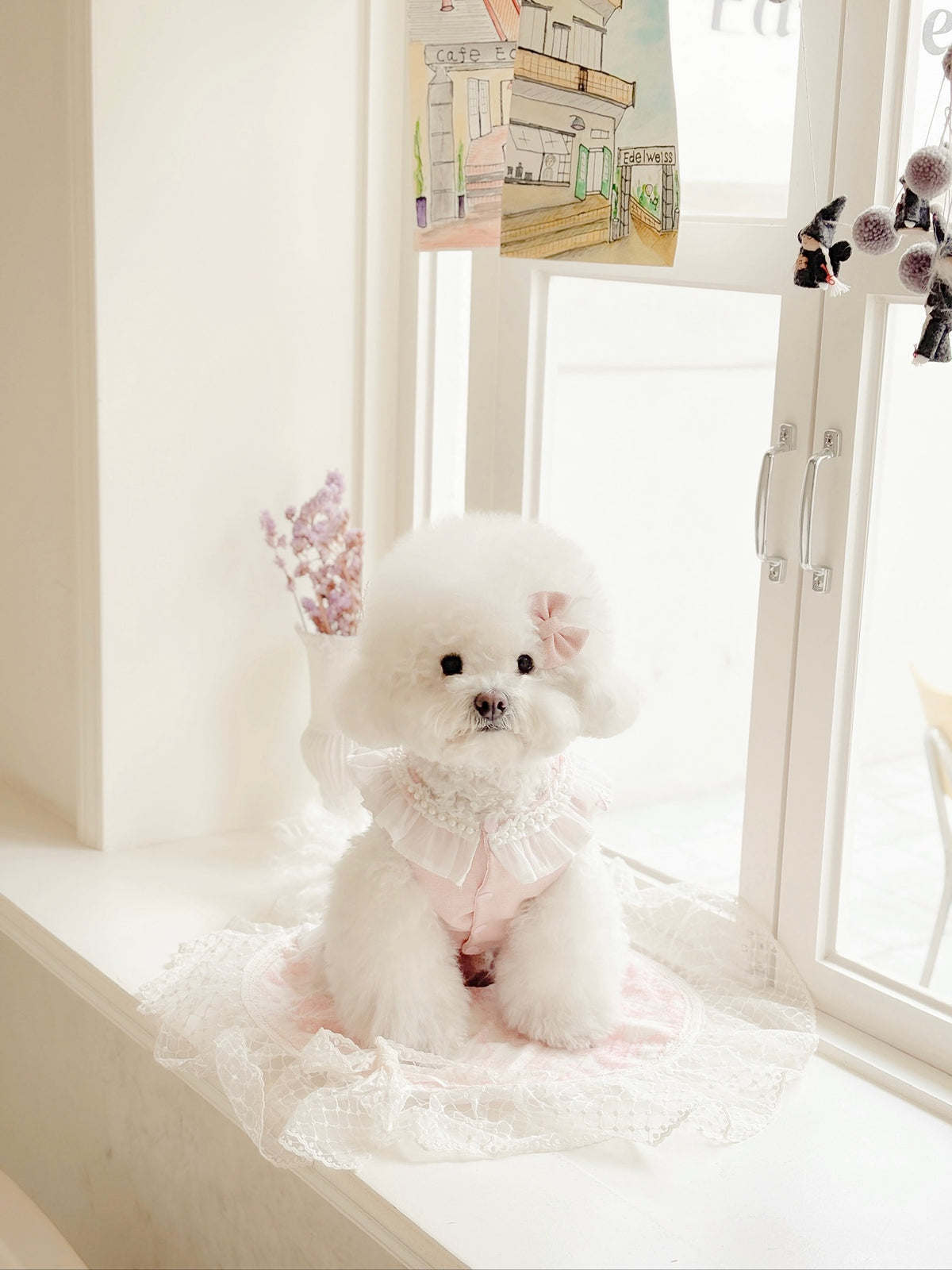 Rose puppy set (libbon)