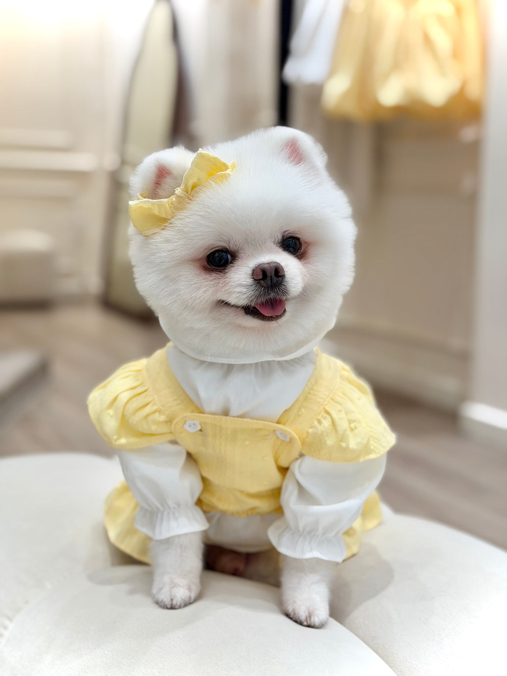 Belle bloom girl puppy set (libbon)