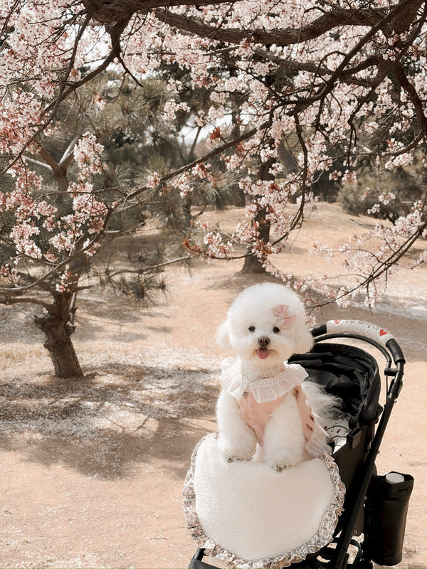 For Pets