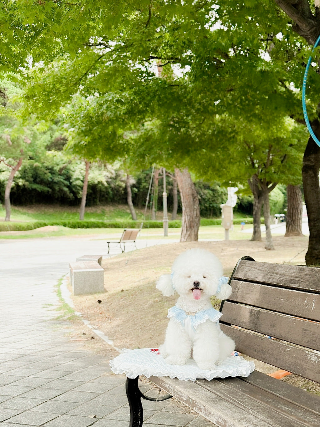 Milky shushu puppy set (crunch)