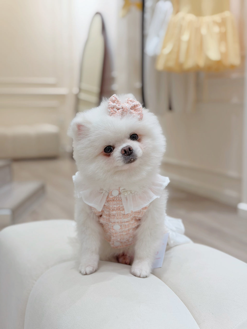 Pearl tweed girl puppy set (libbon)