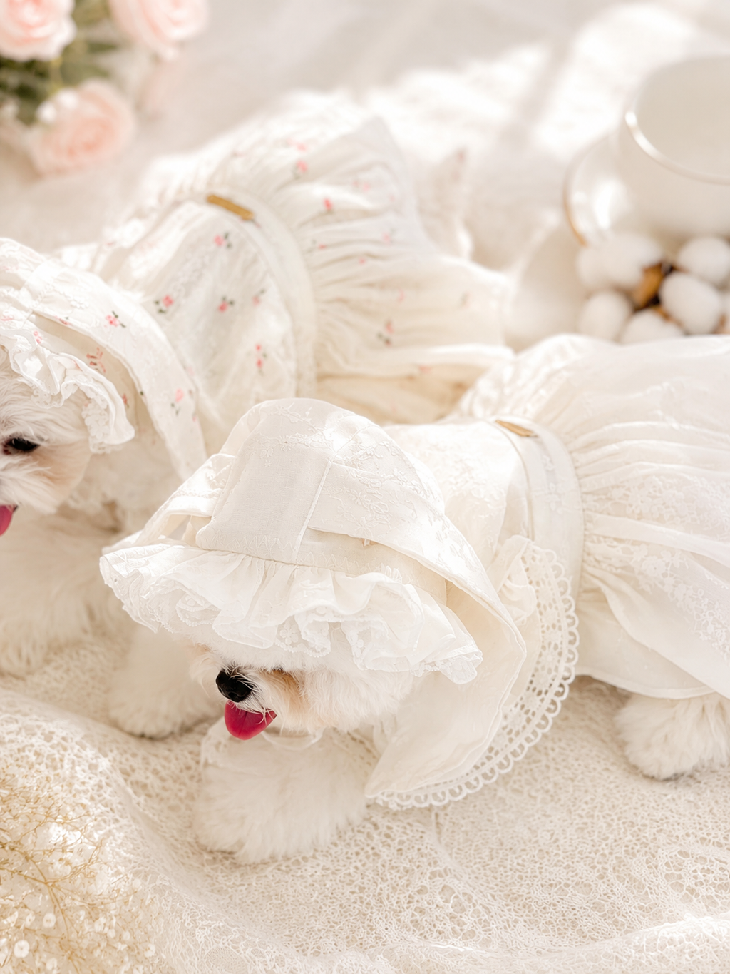 Mimi puppy set (rabbit hat)