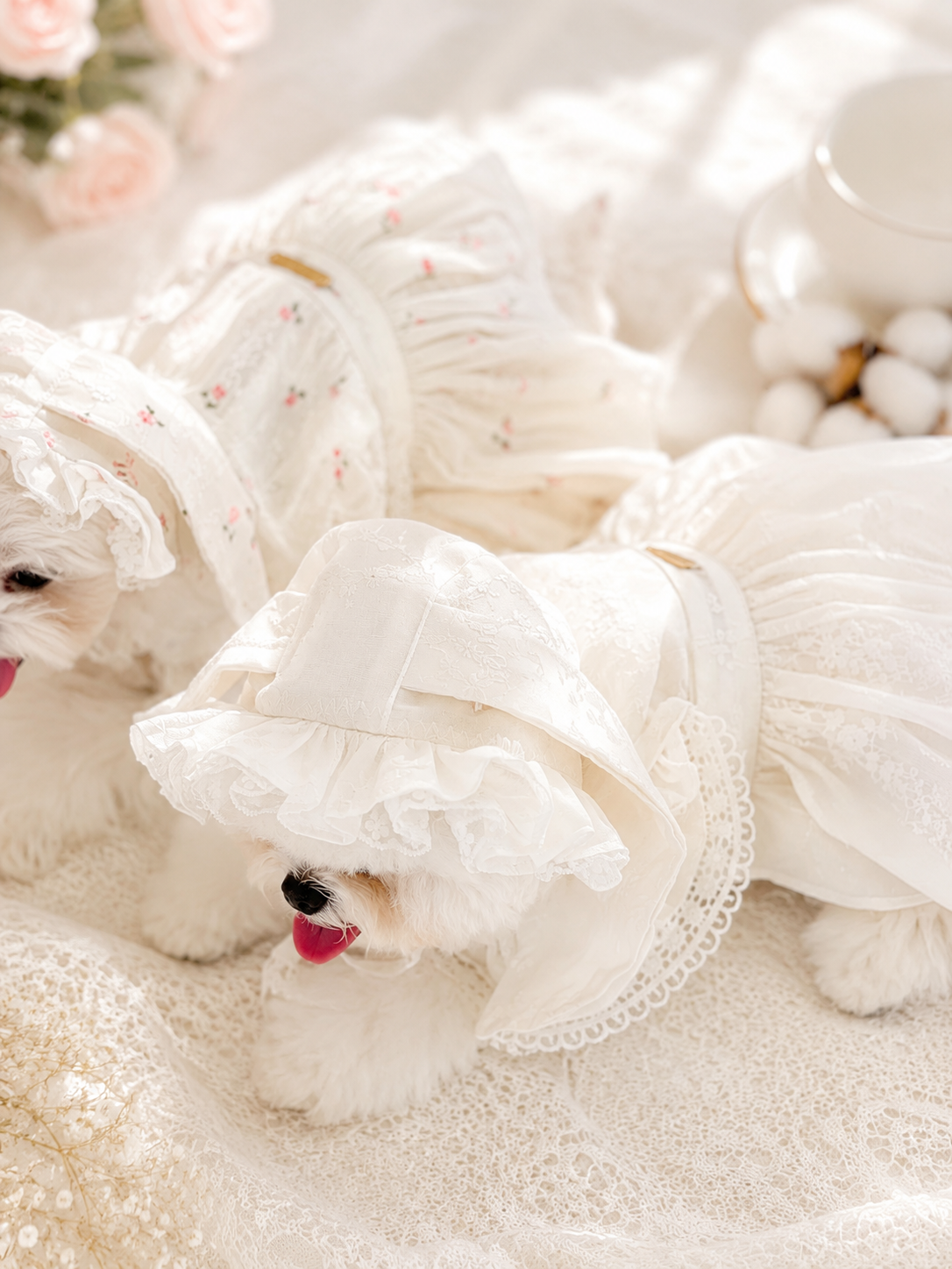 Mimi puppy set (rabbit hat)