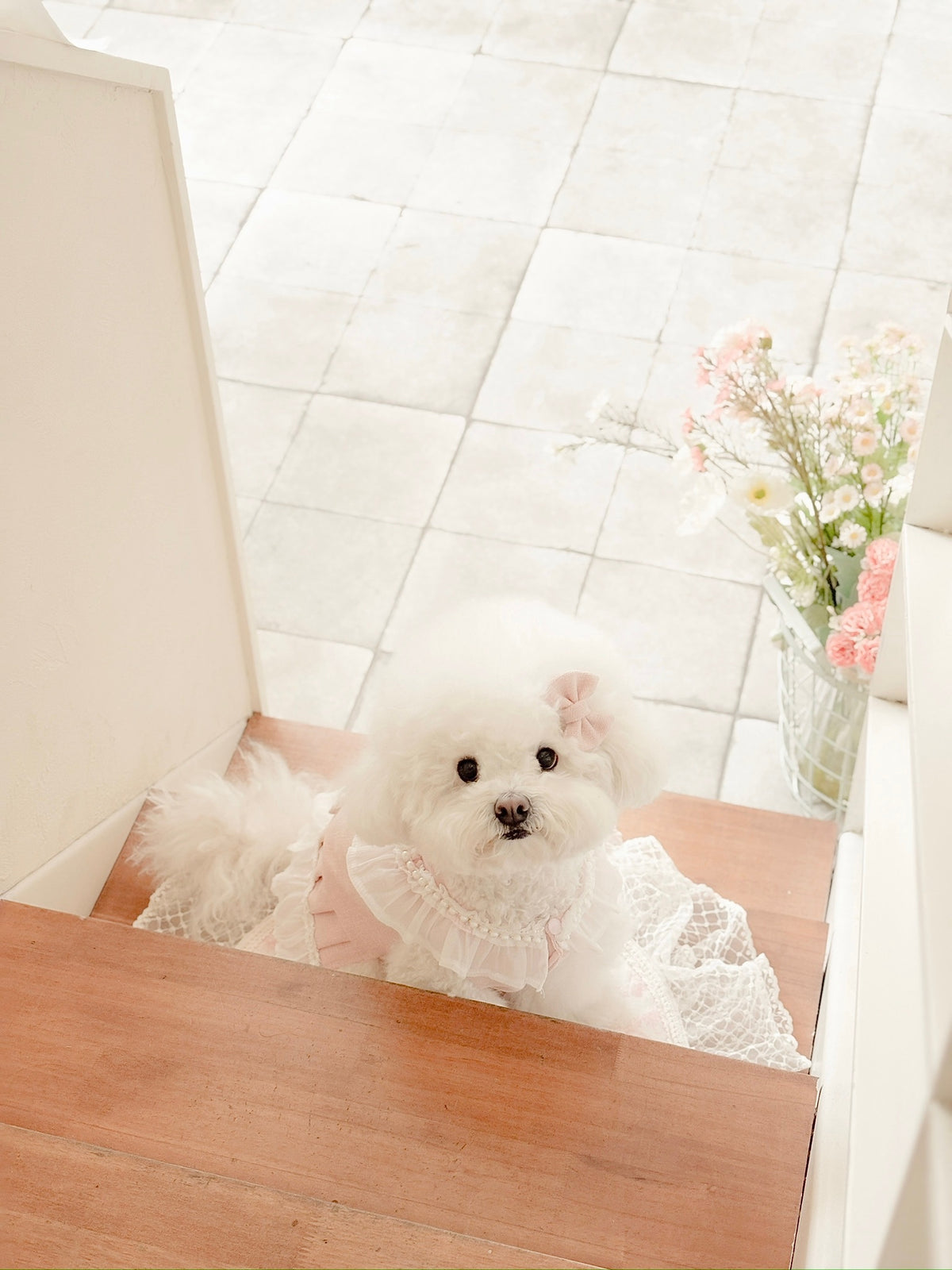 Rose puppy set (libbon)