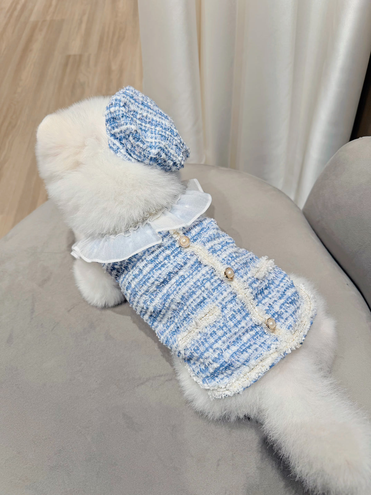 Pearl tweed boy puppy set (hat)