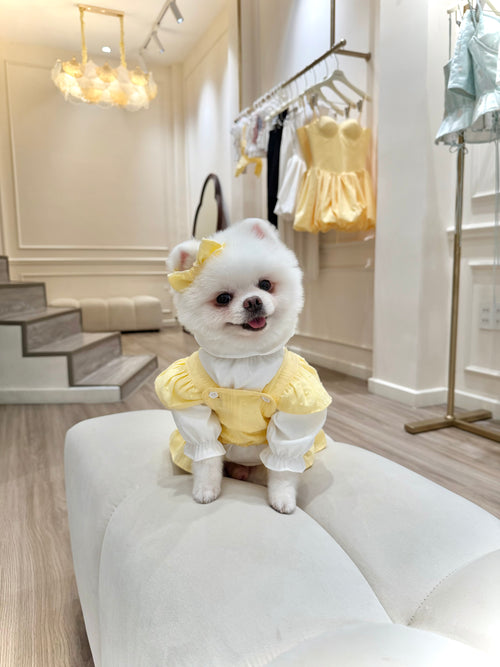Belle bloom girl puppy set (libbon)