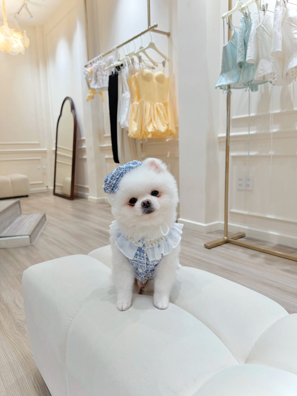 Pearl tweed boy puppy set (hat)