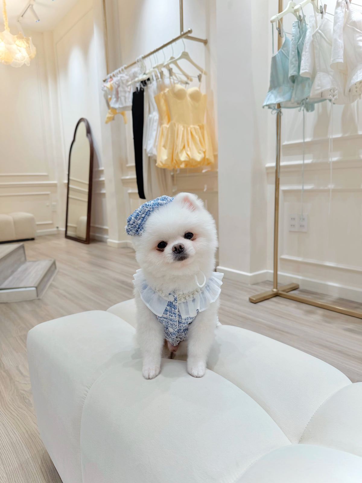 Pearl tweed boy puppy set (hat)
