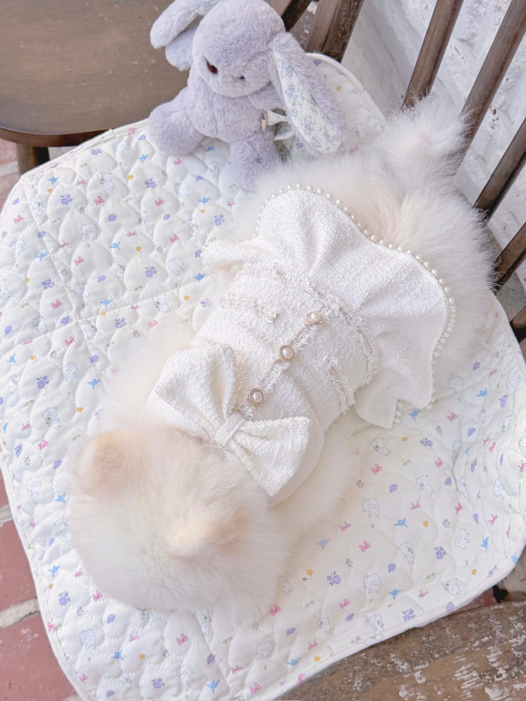 Blanche puppy set (hat)