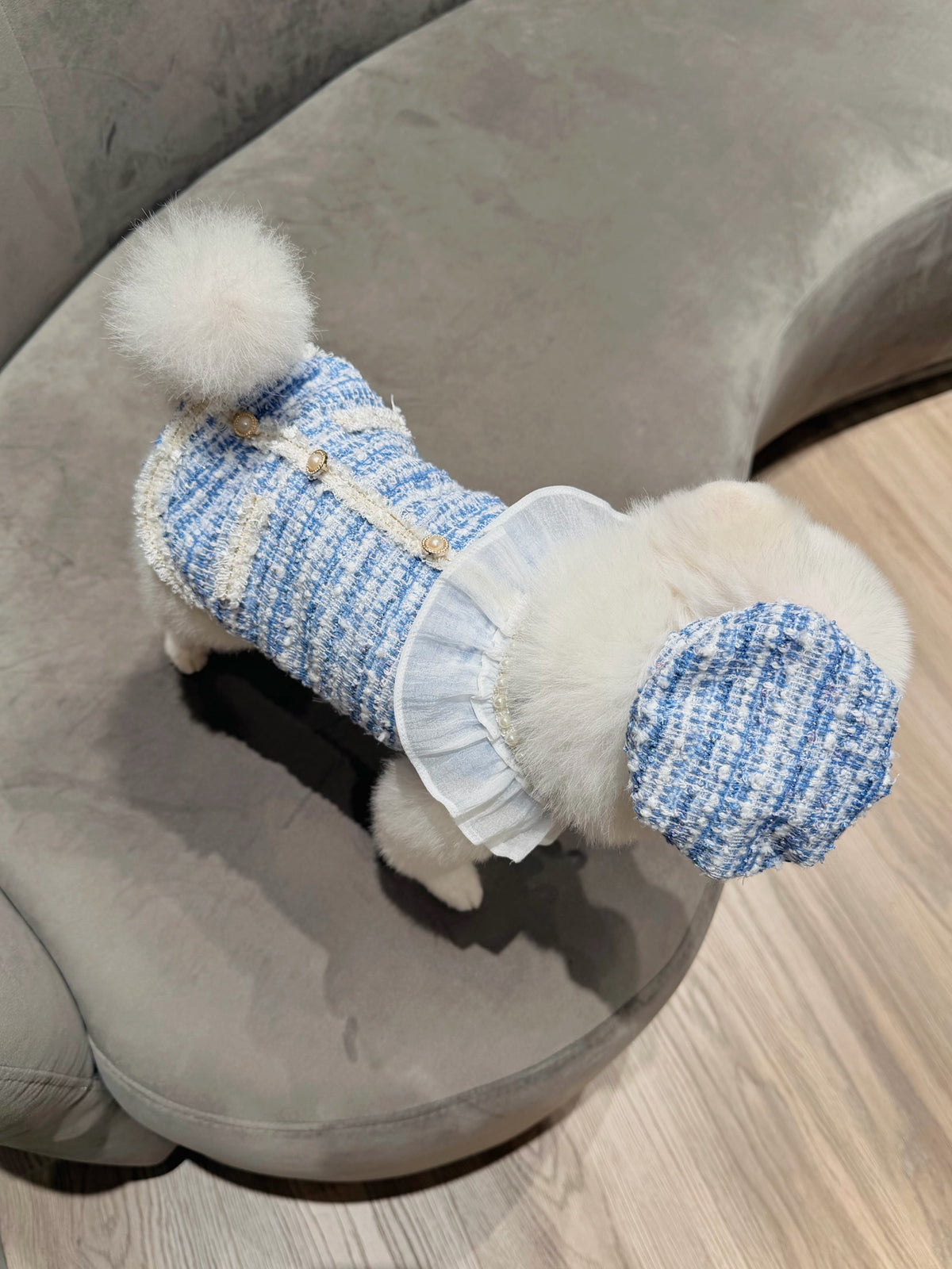 Pearl tweed boy puppy set (hat)