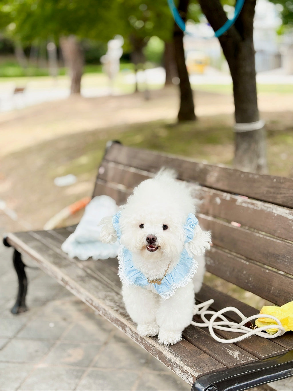 Milky shushu puppy set (crunch)