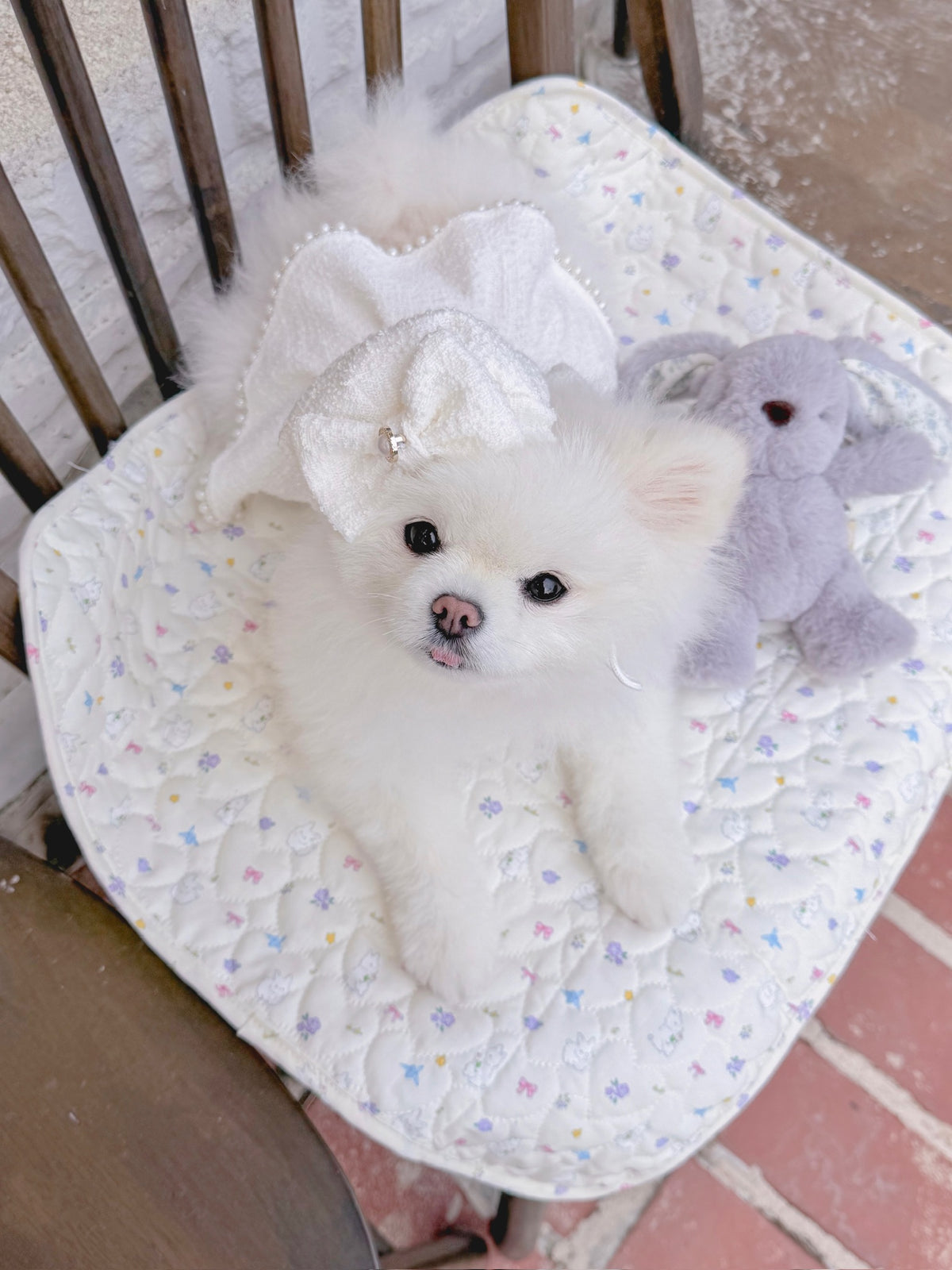 Blanche puppy set (hat)