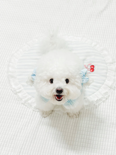 Milky shushu puppy set (crunch)